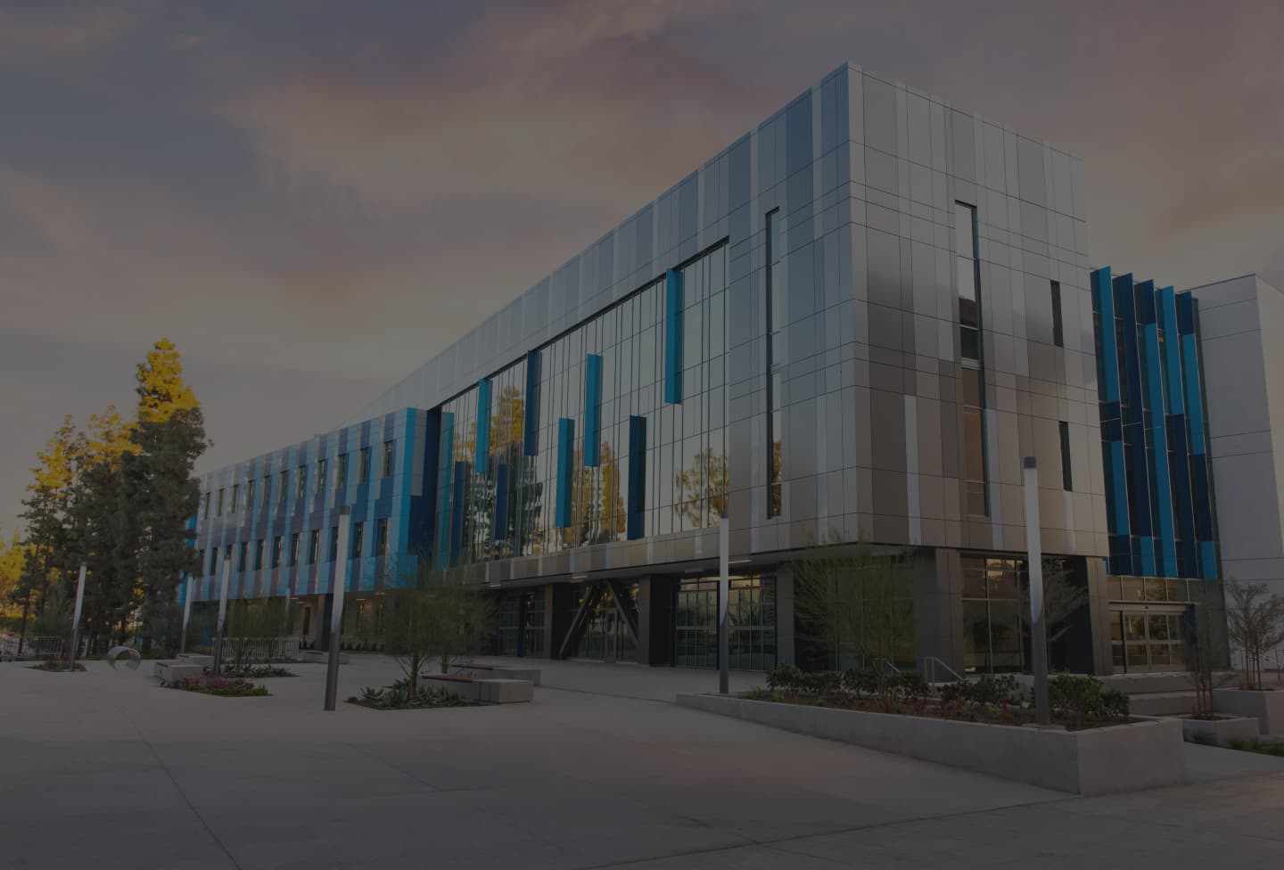 Schools & Universities